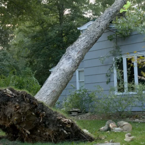 Home Emergency Storm Cleanup