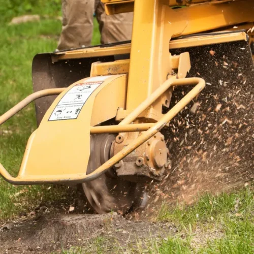 Home Stump Grinding